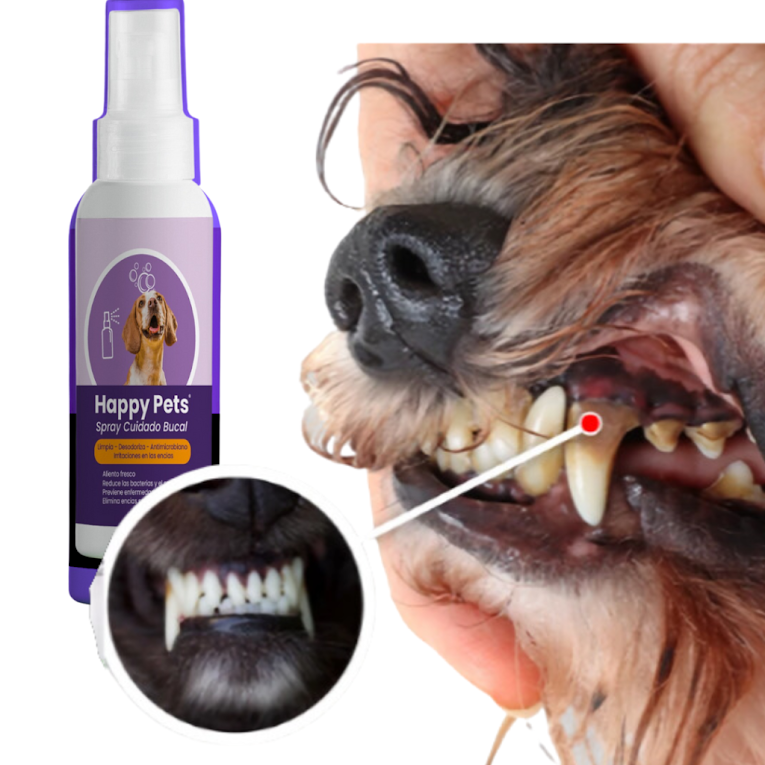 HAPPY  PETS enjuegue bucal mascotas 2x1