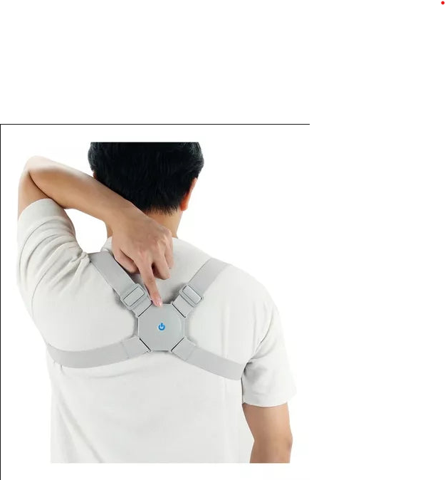 Palma Back Brace
